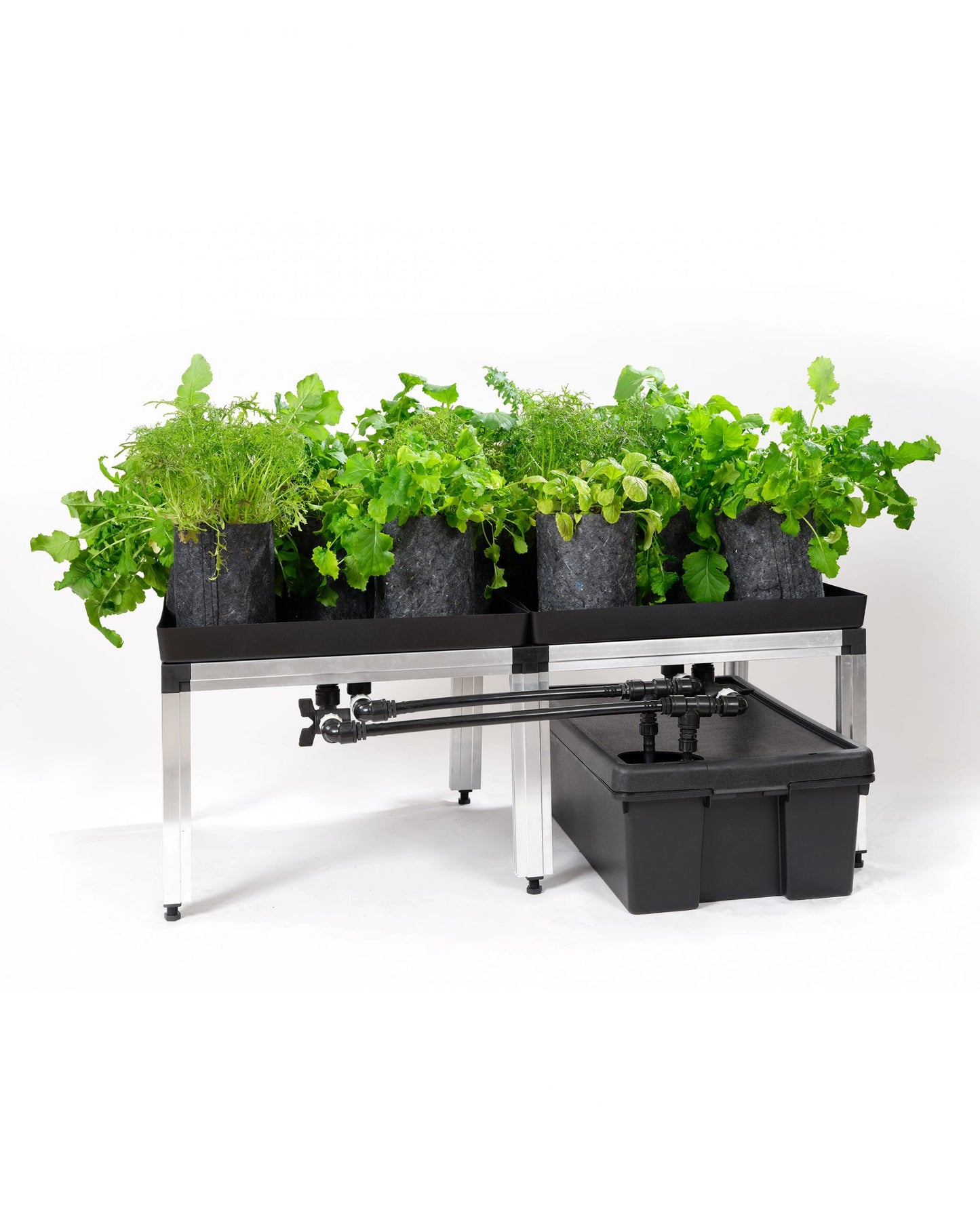 GTools Bonanza Clima (1m2) + 3 in 1 irrigatiesysteem