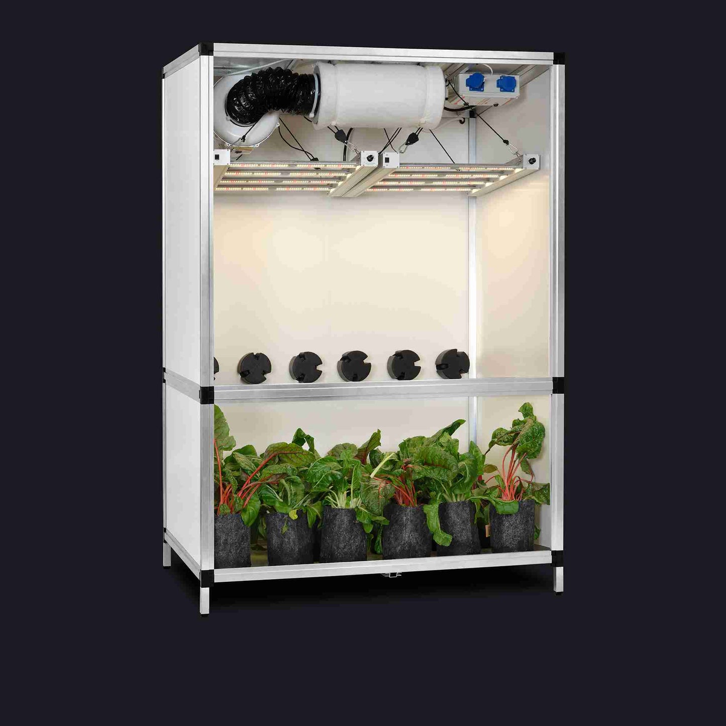 GTOOLS Bonanza Clima (1m2) + 2 x G-Bars 170 Watt dimbaar