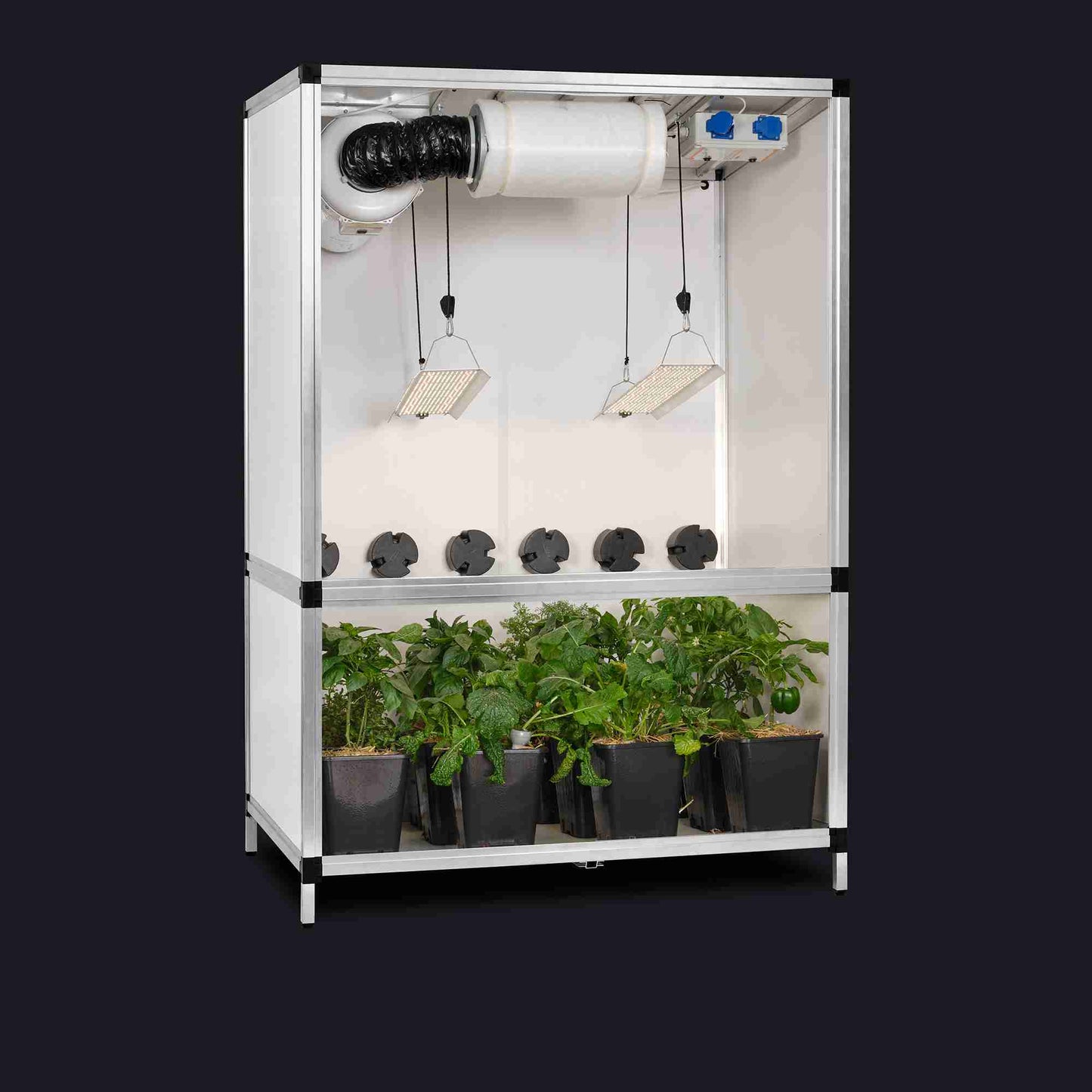 GTOOLS Bonanza Clima (1m2) +2 x Hortione 420, 150 Watt + Dimmers