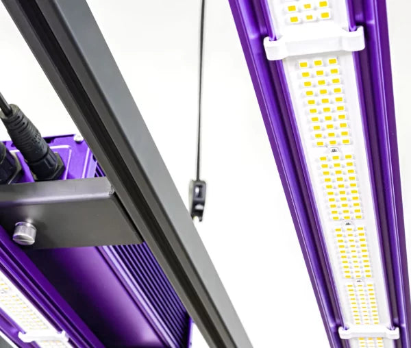 ZEUS 465W PRO kweeklamp uniforme lichtverdeling | Uniform light distribution grow light | Gleichmäßige Lichtverteilung LED