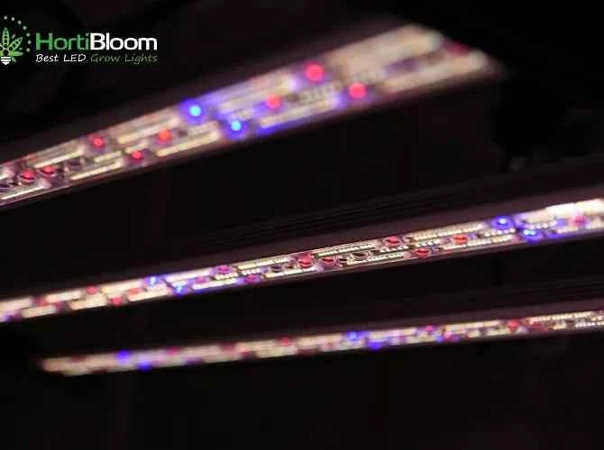 HortiBloom Mega Optic 600W 3.2 µmol/J LED Groeilamp – Binnenplanten & Hydroponische Kweek