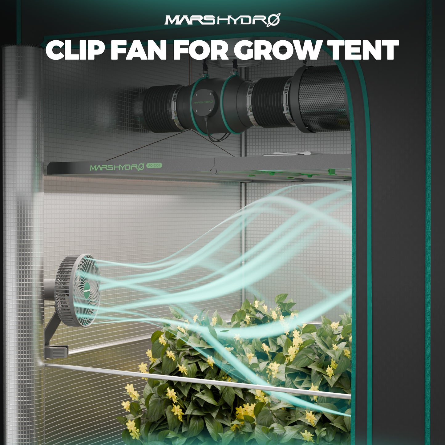 mars hydro ts600 kweektent set met benodigdheden | ts600 grow tent kit with essentials | ts600 grow zelt set mit grundausstattung