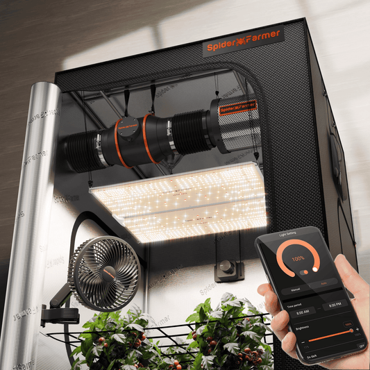 sf4000 evo complete kweektent set 2025 | sf4000 evo grow tent kit | sf4000 evo zelt set