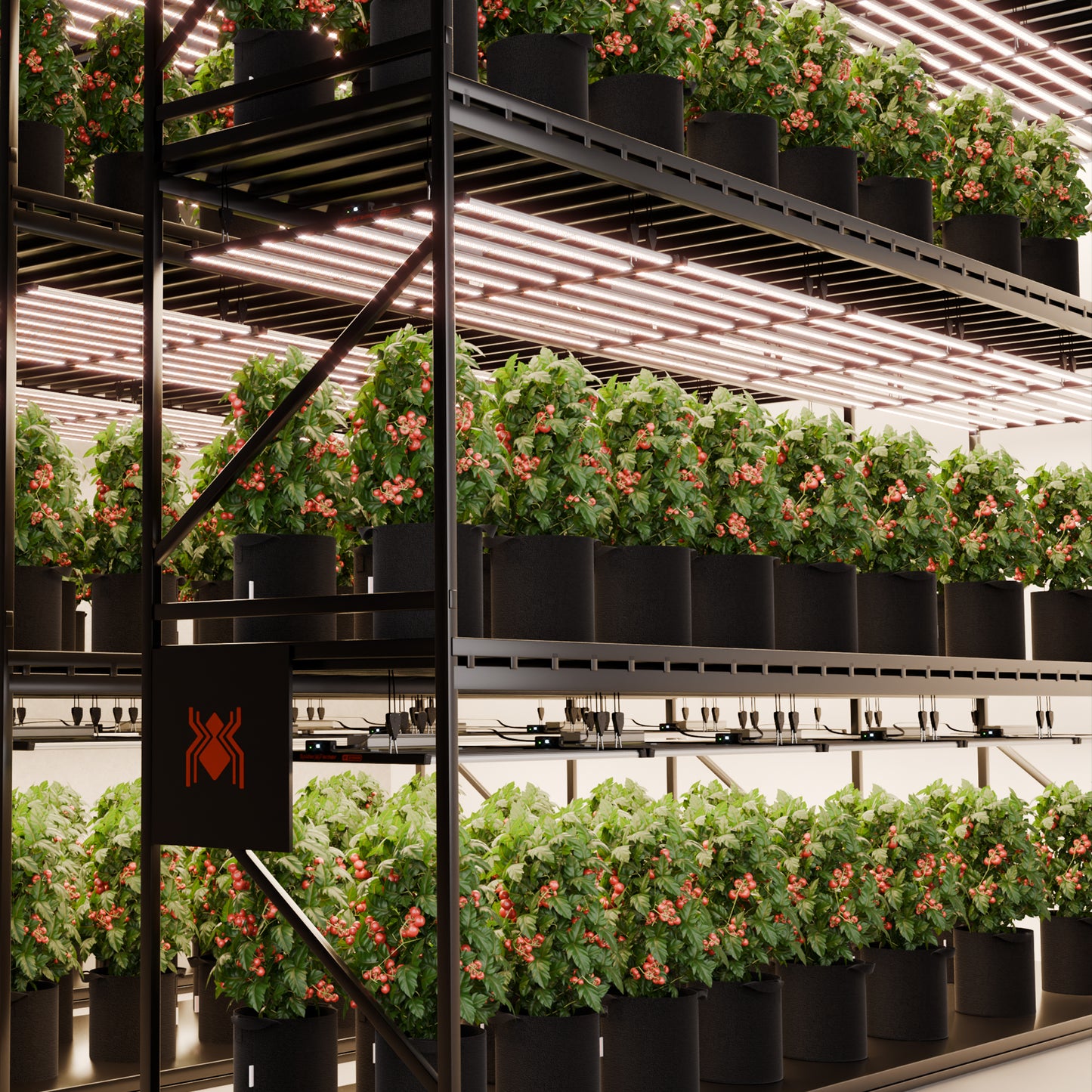 Spider Farmer G1000W LED Growbox Beleuchtung mit 2.9 µmol/J Effizienz für maximale Erträge im 5x5 Setup