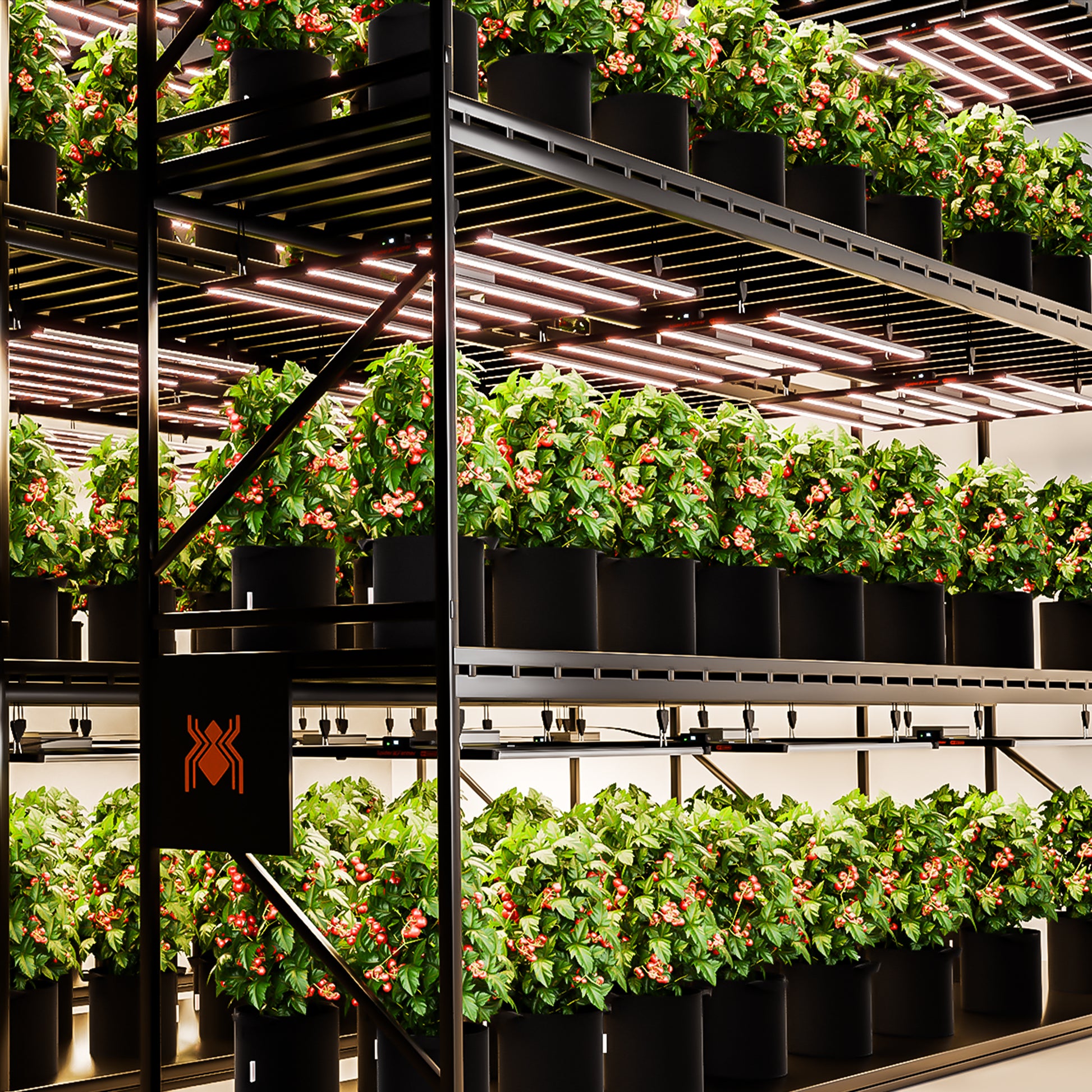 Smart 800W LED grow light voor 120x120 bloei mit gleichmäßiger Lichtverteilung