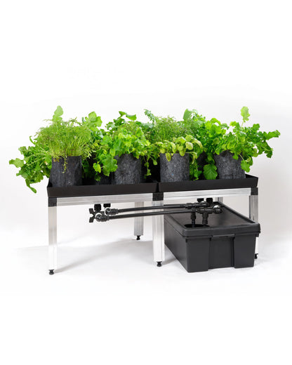 GTools Bonanza Clima (1m2) + 3 in 1 irrigatiesysteem