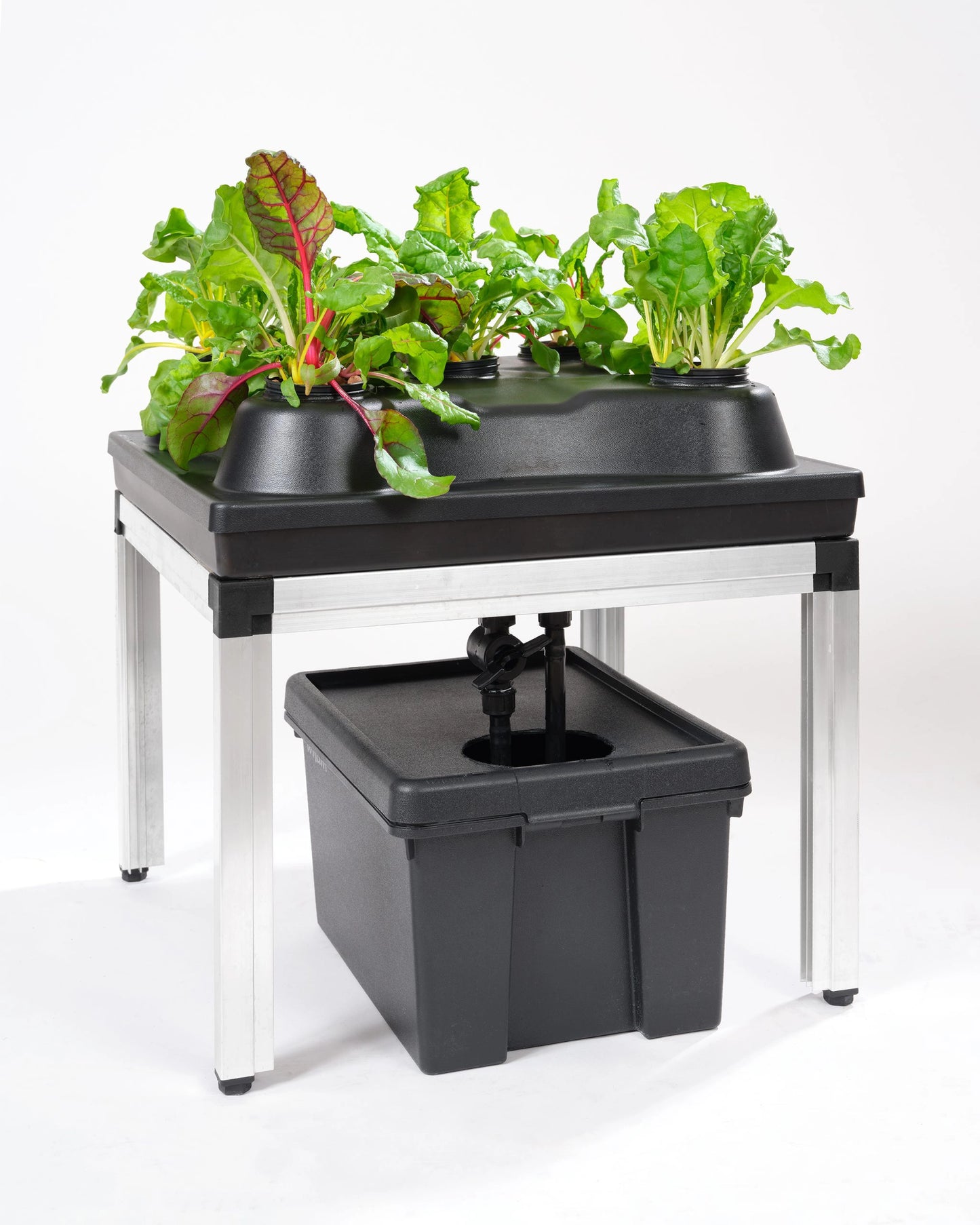 GTools Bonanza Clima (0,35m2) + 3 in 1 irrigatiesysteem
