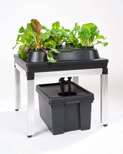 GTools Bonanza Clima (0,35m2) + 3 in 1 irrigatiesysteem