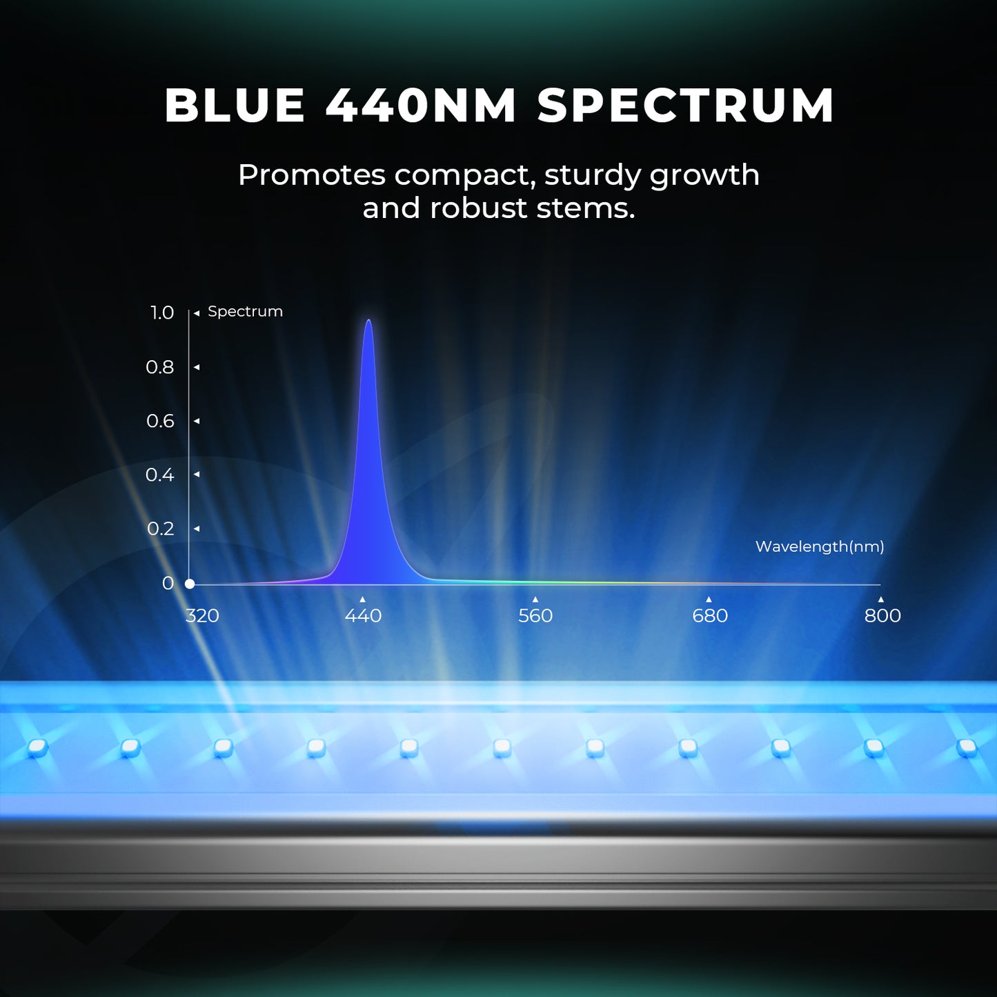 Aanvullende Mars Hydro ADlite Blue lampen – optimale bladgroei / supplemental grow lighting / Zusatzbeleuchtung für Pflanzen
