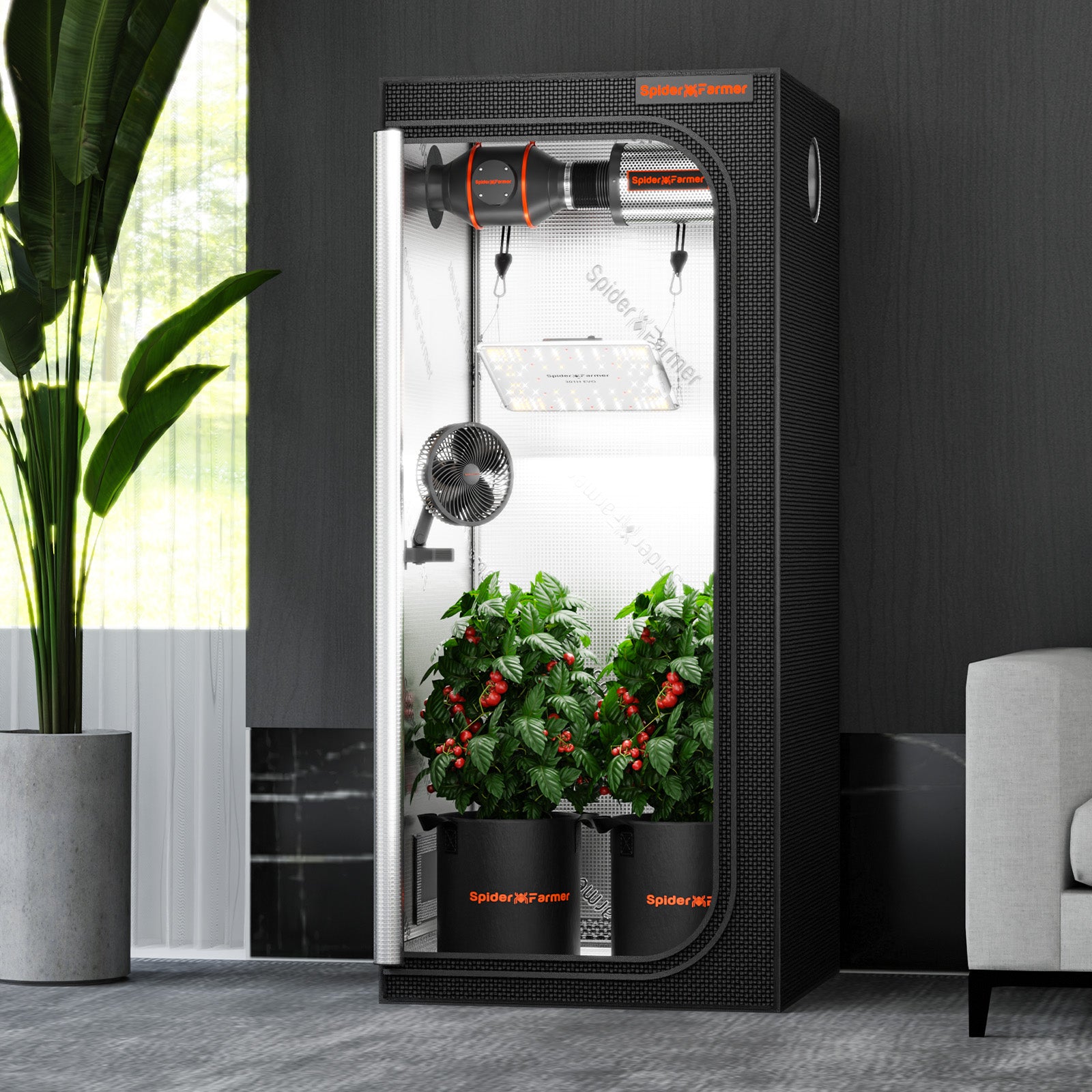 Lichtdichte Spider Farmer tent | Lightproof grow tent | Lichtdichtes Growzelt