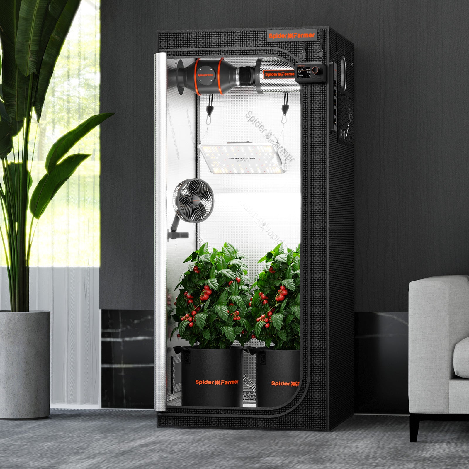 Vergroot observatievenster Spider Farmer 70×70 tent / Enlarged observation window Spider Farmer 70×70 tent / Vergrößertes Sichtfenster Spider Farmer 70×70 Zelt