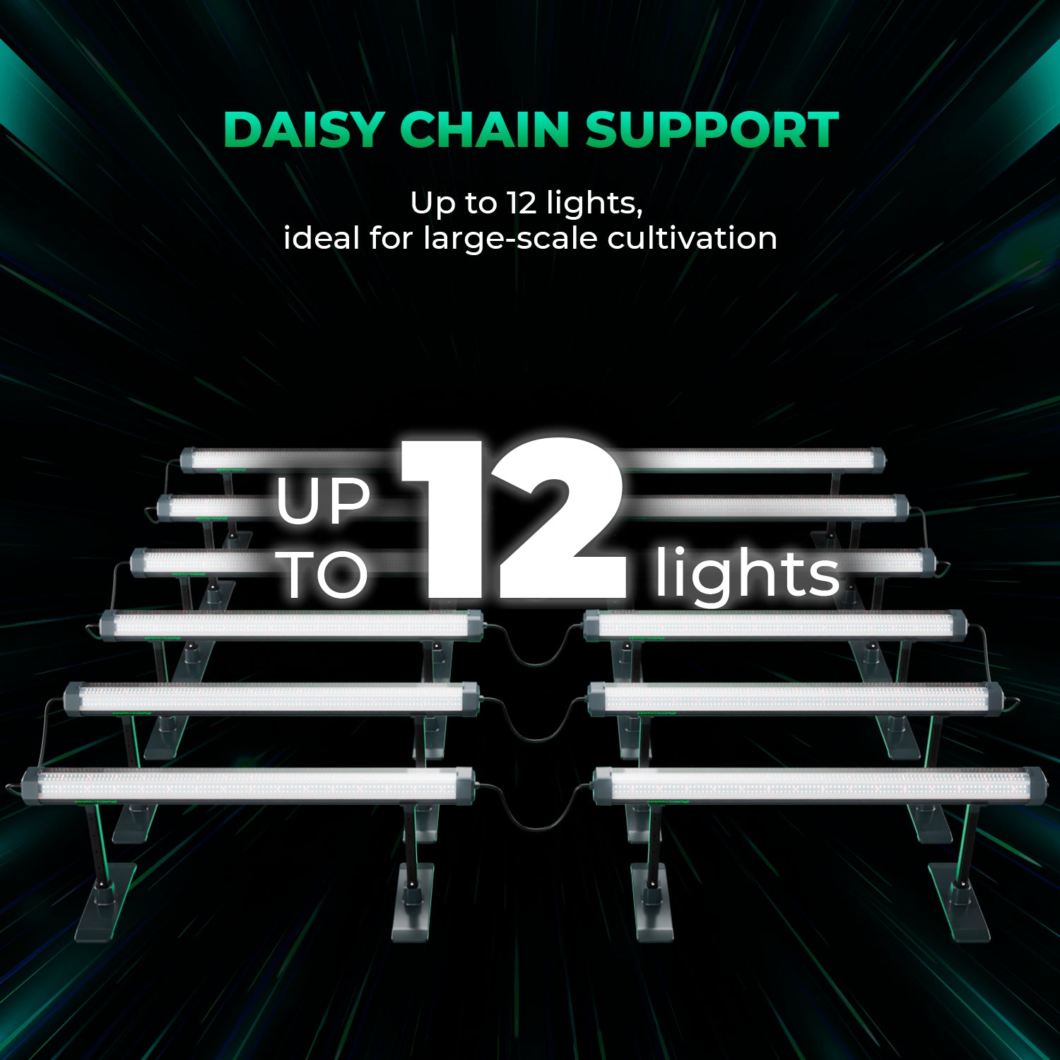 Extra LED licht onder planten – Supplemental LED lighting under plants – Zusatz LED Licht unter Pflanzen