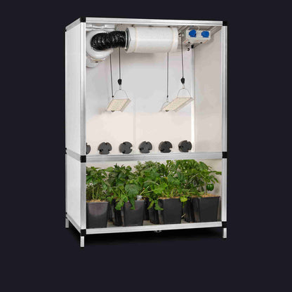 GTOOLS Bonanza Clima (1m2) +2 x Hortione 420, 150 Watt + Dimmers