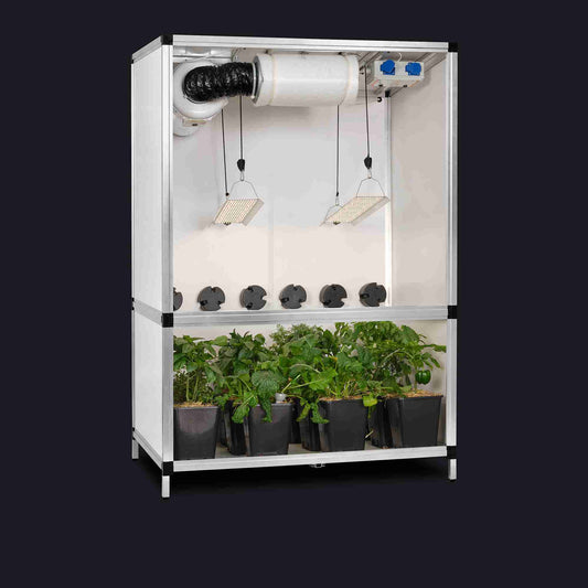 GTOOLS Bonanza Clima (1m2) +2 x Hortione 420, 150 Watt + Dimmers