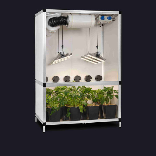GTOOLS Bonanza Clima (1m2) + 2 x Sanlight EVO 3-60, 200 Watt+ Dimmers