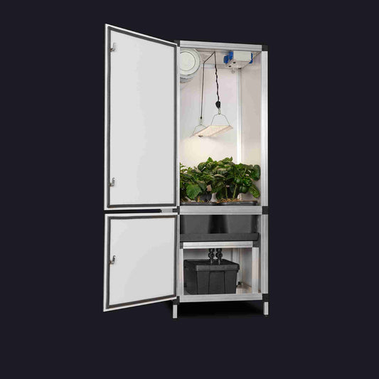 GTOOLS Bonanza Clima (0,35m2) + Hortione 420, 150 Watt + Dimmer + 3 in 1 irrigatiesysteem