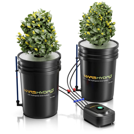 Mars Hydro DWC Systeem 2 Buckets