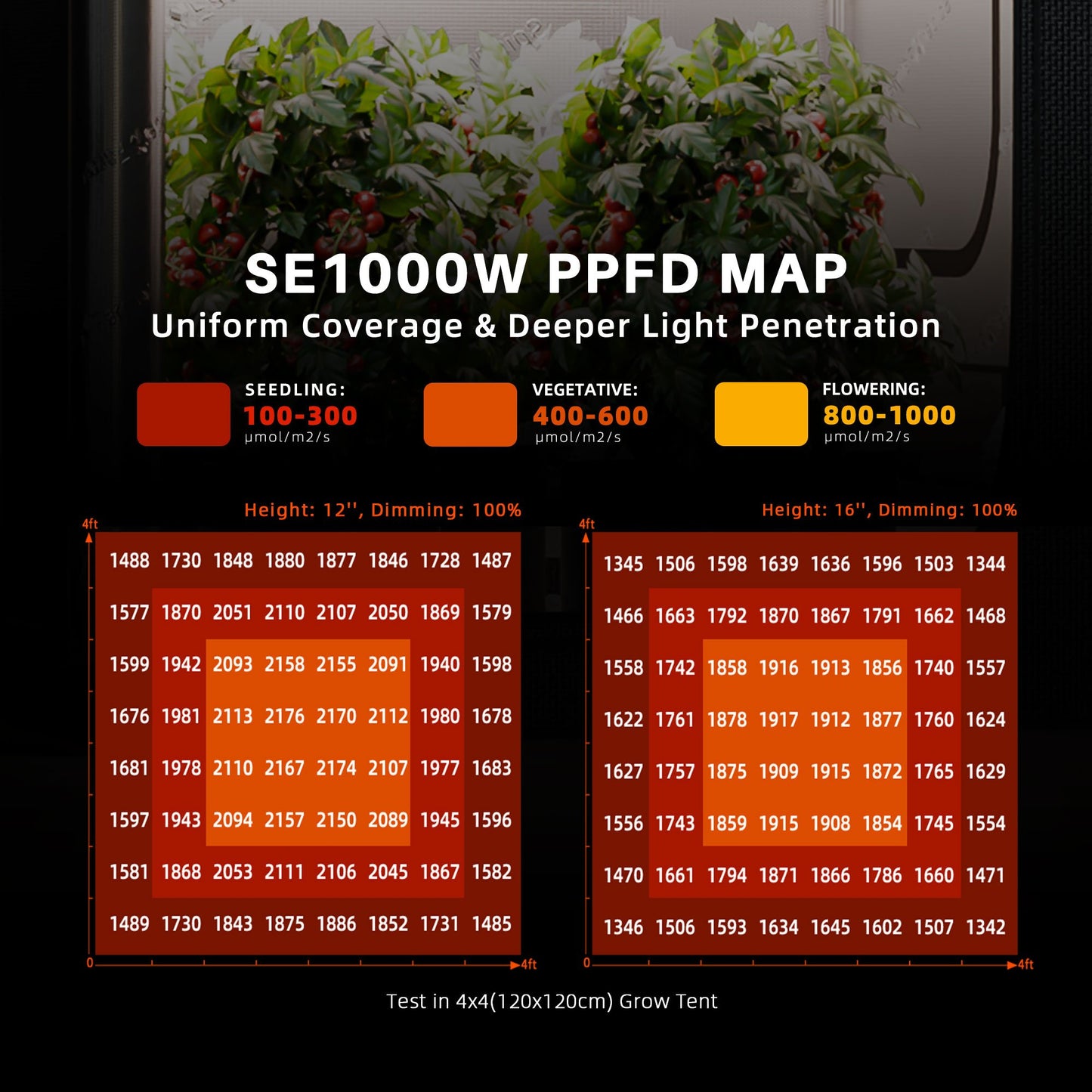 se1000w samsung lm301h evo kweeklamp | se1000w samsung evo grow light | se1000w samsung lm301h evo pflanzenlicht