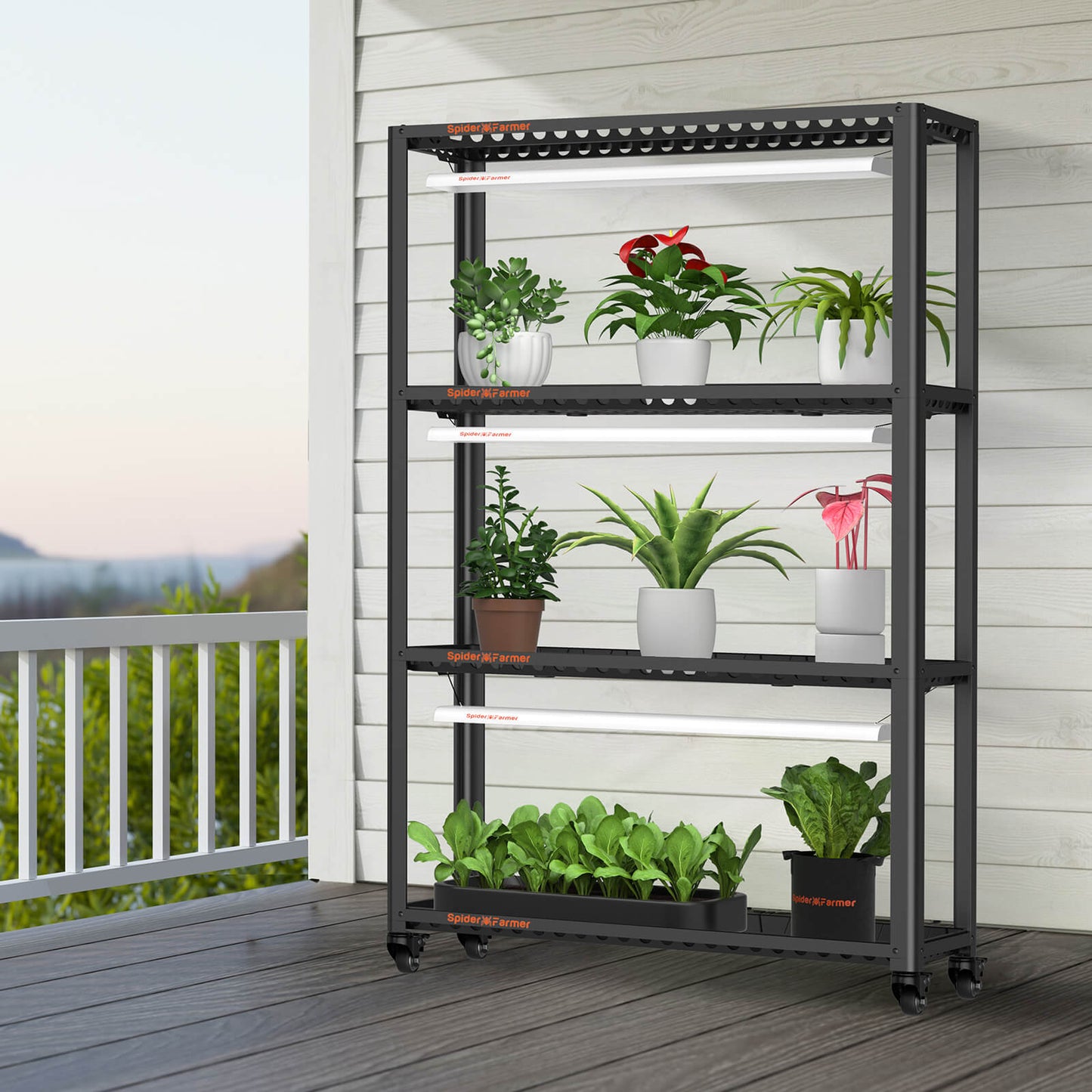 Spider Farmer SF600 Grow Kast Indoor Plant Shelve