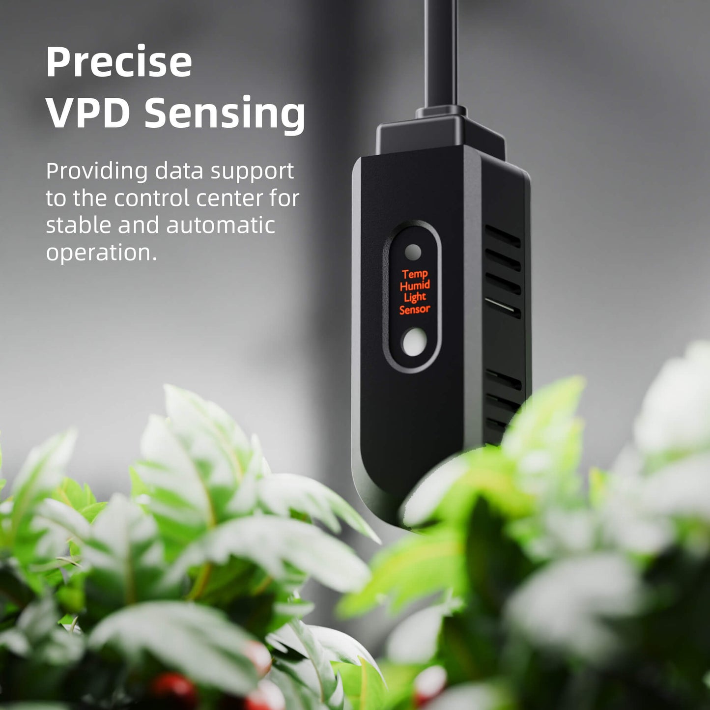 70x70x160 cm indoor kweektent voor beginners – beginner grow tent kit – Einsteiger Growbox Komplettset