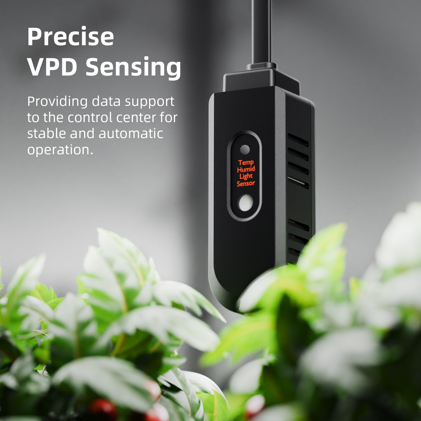 Kweektent voor hydroponische systemen | Grow tent for hydroponics | Growzelt für Hydroponik