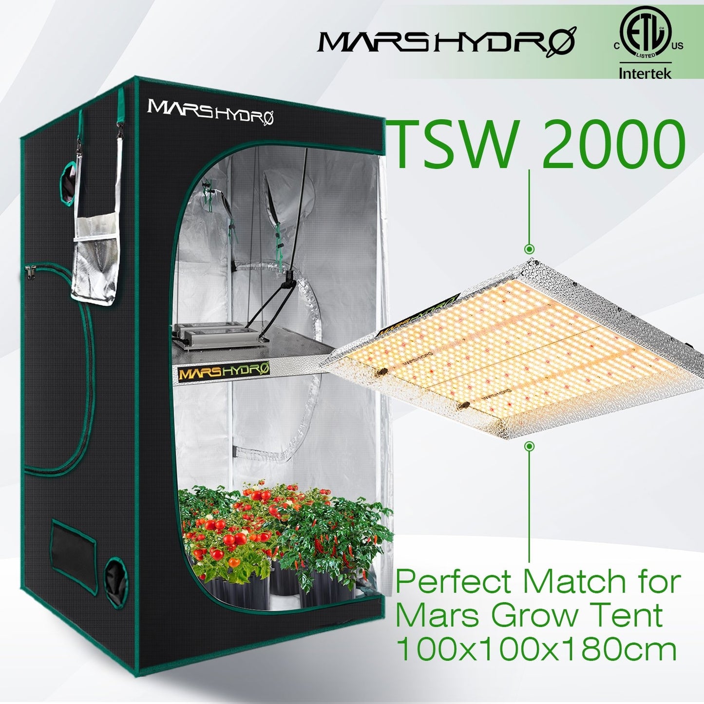 MARS HYDRO TSW 2000 (dimbaar) 2.6µmol/J 300W LED bloeilamp/kweeklamp