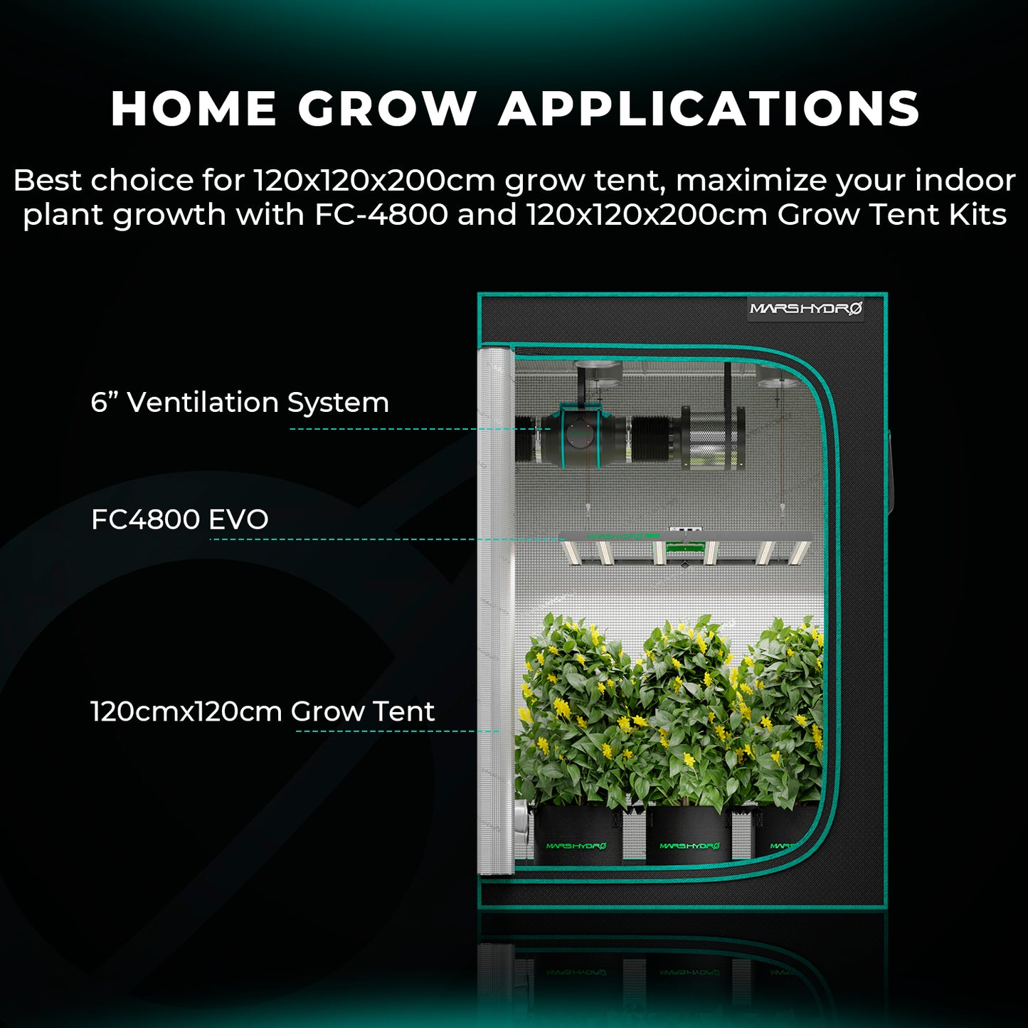 fc4800 evo led lamp voor 120x120cm | fc4800 evo grow light 1.2x1.2m | fc4800 evo anbaulicht 1.2x1.2