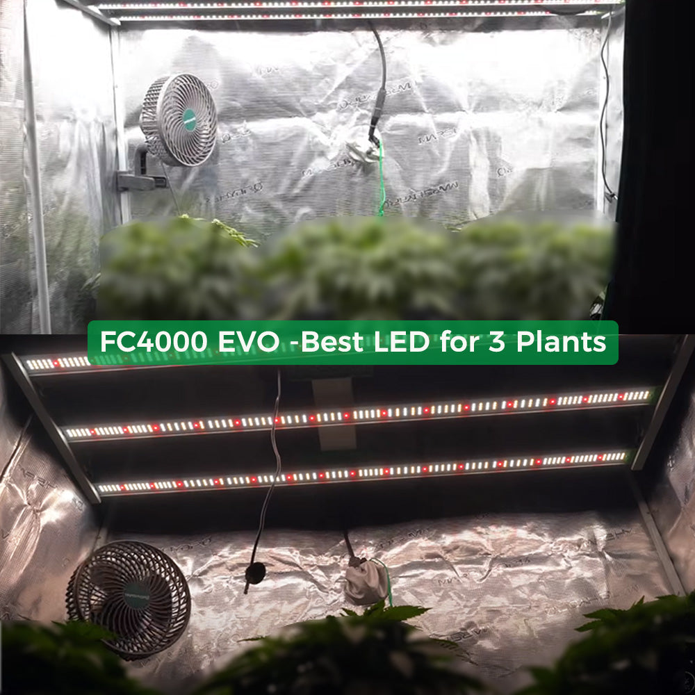 Hoge PPFD LED groeilamp voor binnenkweek / High PPFD indoor grow light / Hoch PPFD LED Growlampe für Indoor Anbau