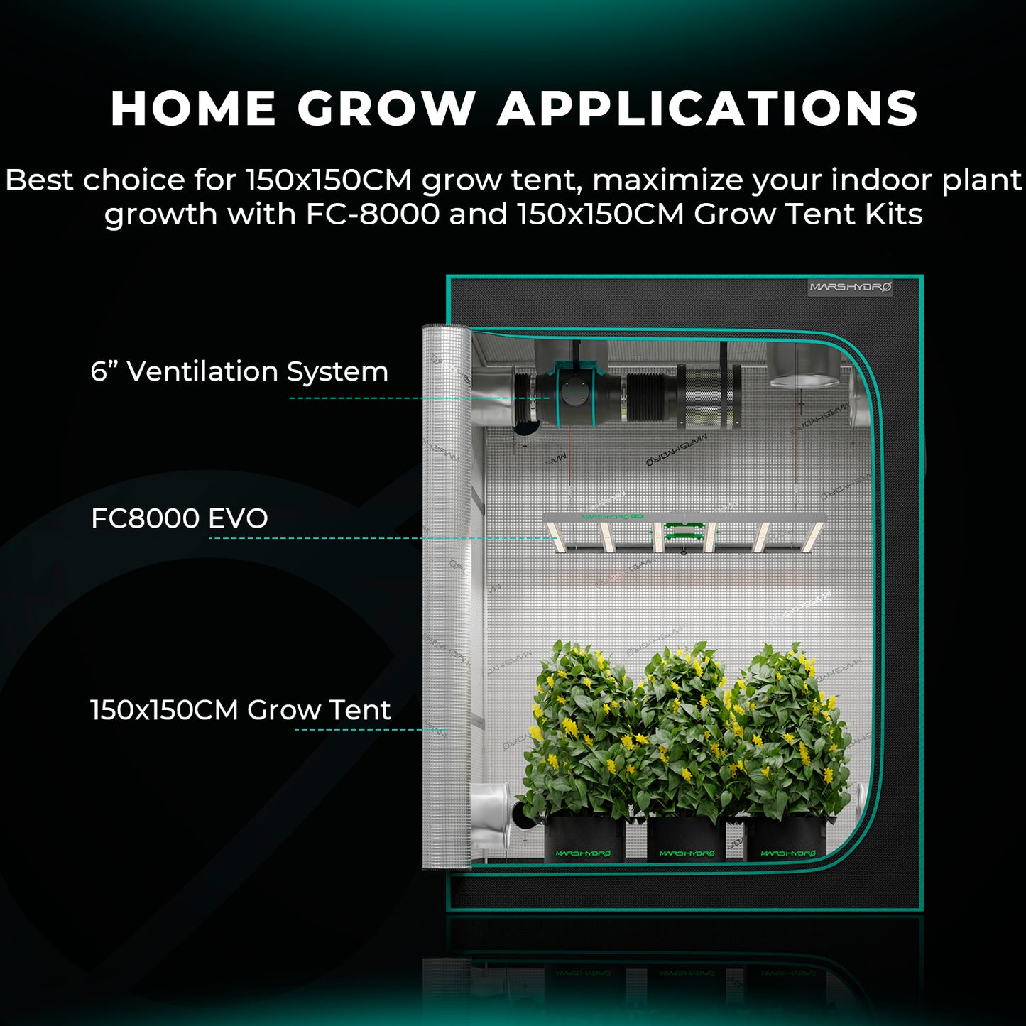 mars hydro fc8000 energiezuinige kweeklamp | fc8000 energy efficient grow light | fc8000 energieeffiziente pflanzenlampe