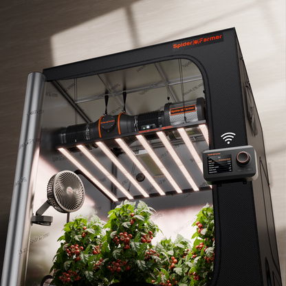 spider farmer g1000w automatisch grow tent kit 150x150 | spider farmer g1000w automated grow tent kit | spider farmer g1000w automatisiertes growzelt set