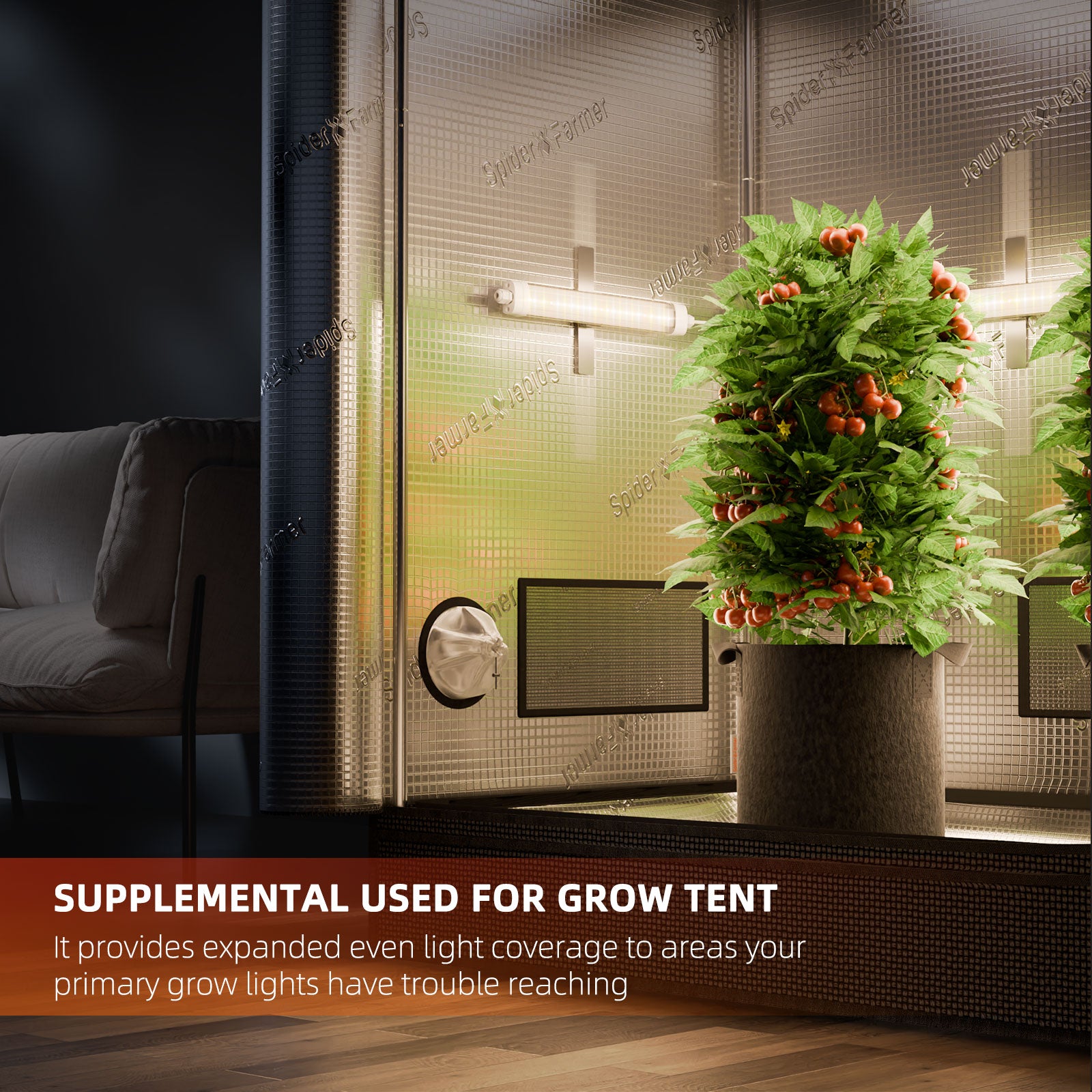 Full spectrum licht voor klonen, groei en bloei | Full spectrum for clone, veg & flower | Vollspektrum für Klone, Wachstum & Blüte