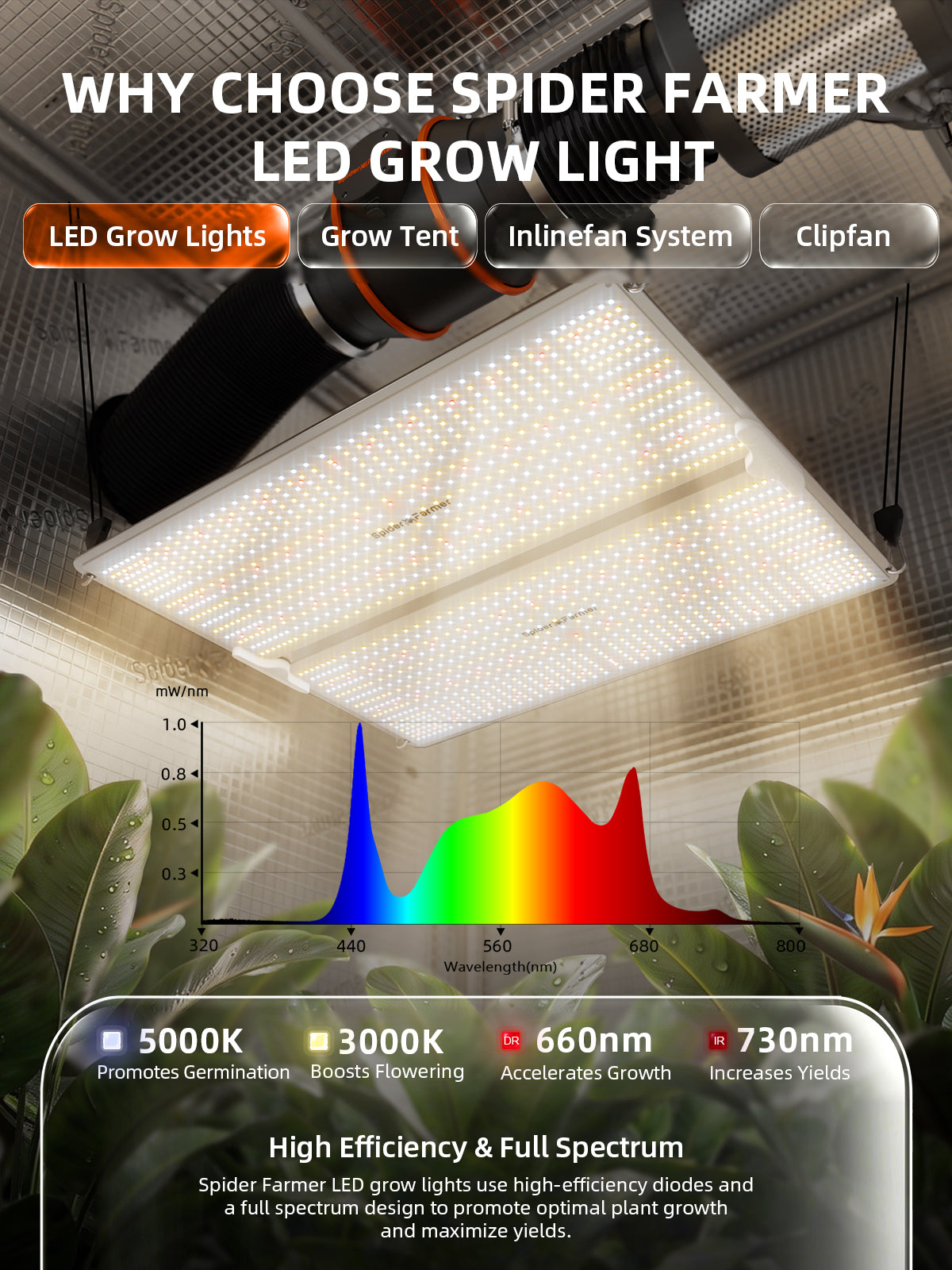 Spider Farmer SF4000 450W Bridgelux Full Spectrum LED kweeklamp | Spider Farmer SF4000 450W Bridgelux full spectrum LED grow light | Spider Farmer SF4000 450W Bridgelux Vollspektrum LED Pflanzenlampe