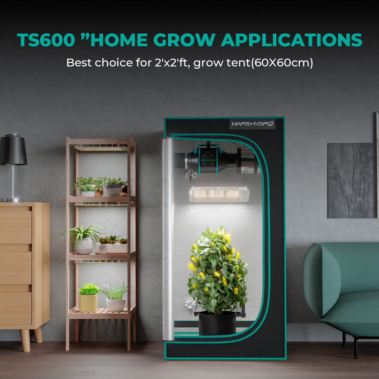 mars hydro ts600 volledige kweekset voor binnenplanten | ts600 complete grow kit for indoor plants | ts600 komplettset für indoor pflanzen