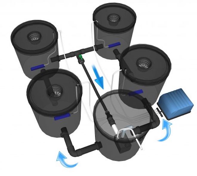 Growrilla (R)DWC Hydroponic Systems 2.0 4 Buckets