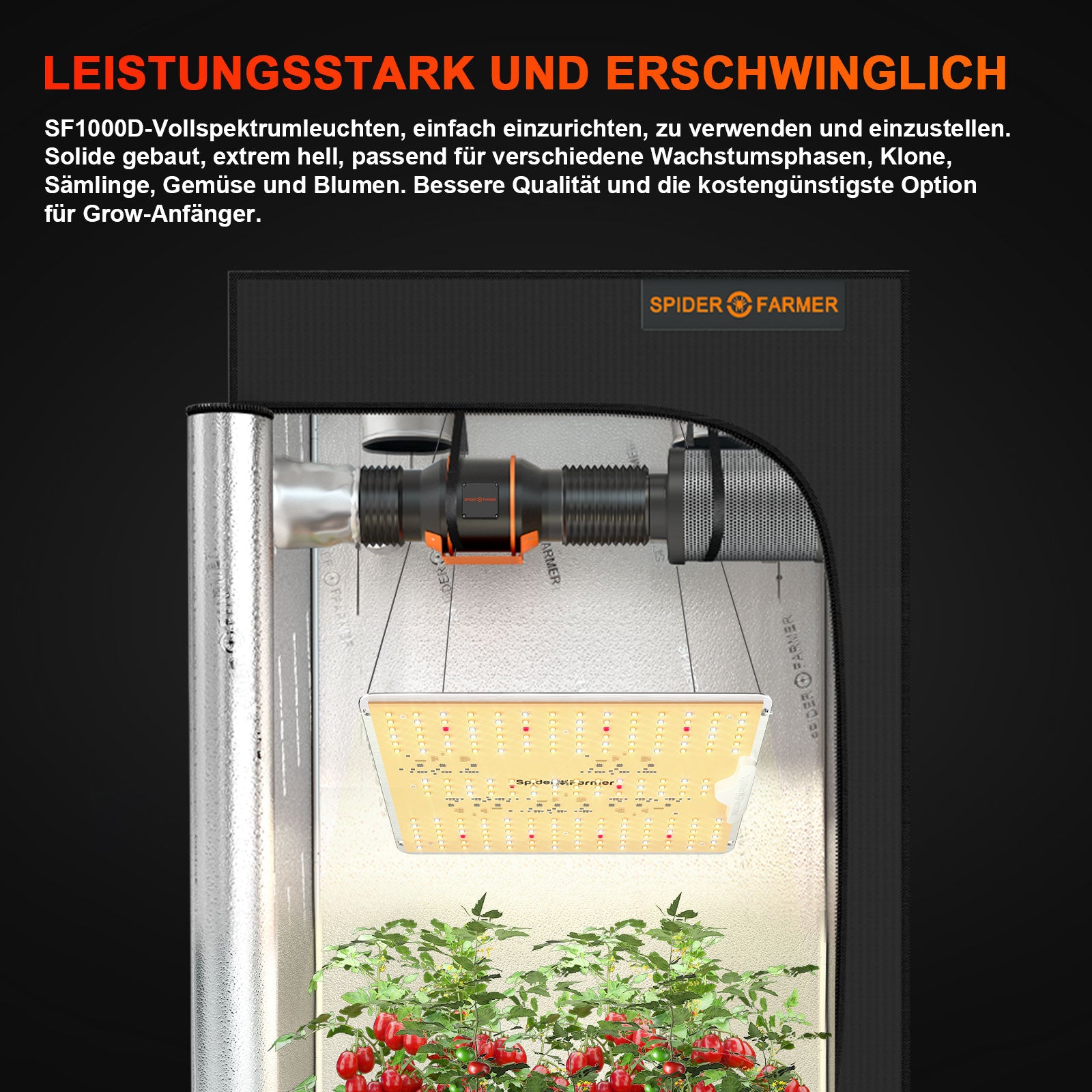 sf1000d 2.5 umol j kweeklamp | sf1000d 2.5 umol j grow light | sf1000d 2.5 umol j pflanzenlicht