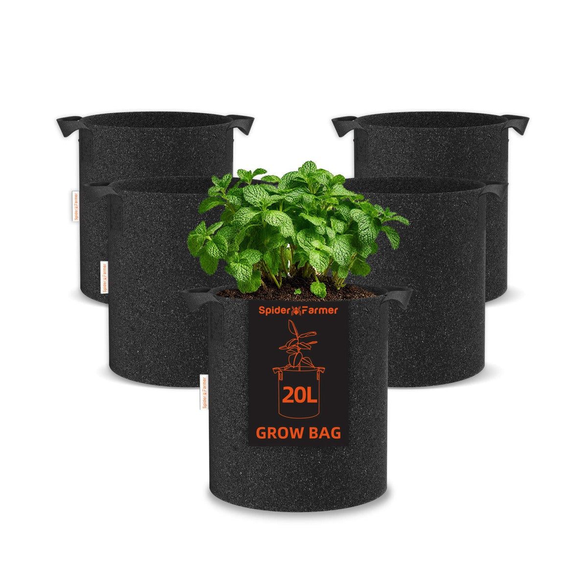 Spider Farmer G1500 150W komplettes Grow Set für kompakten Indoor-Anbau